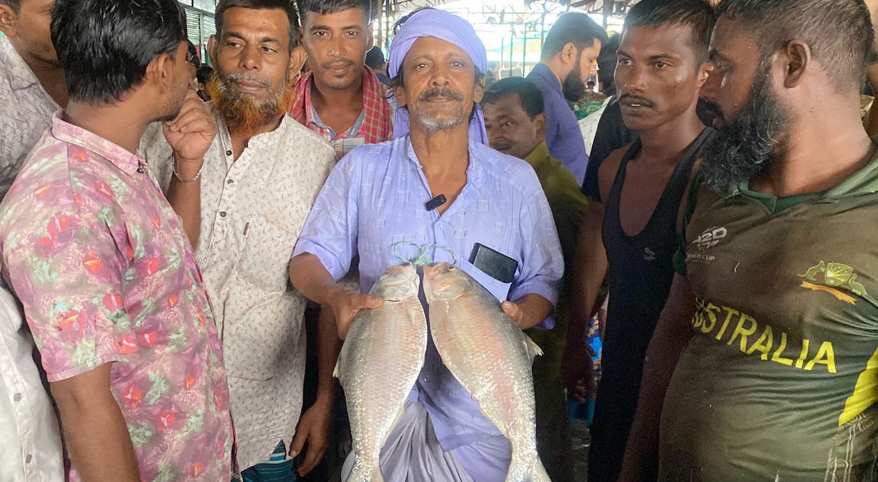 হাতিয়ায় ২ ইলিশ বিক্রি হলো সাড়ে ১১ হাজার টাকায়