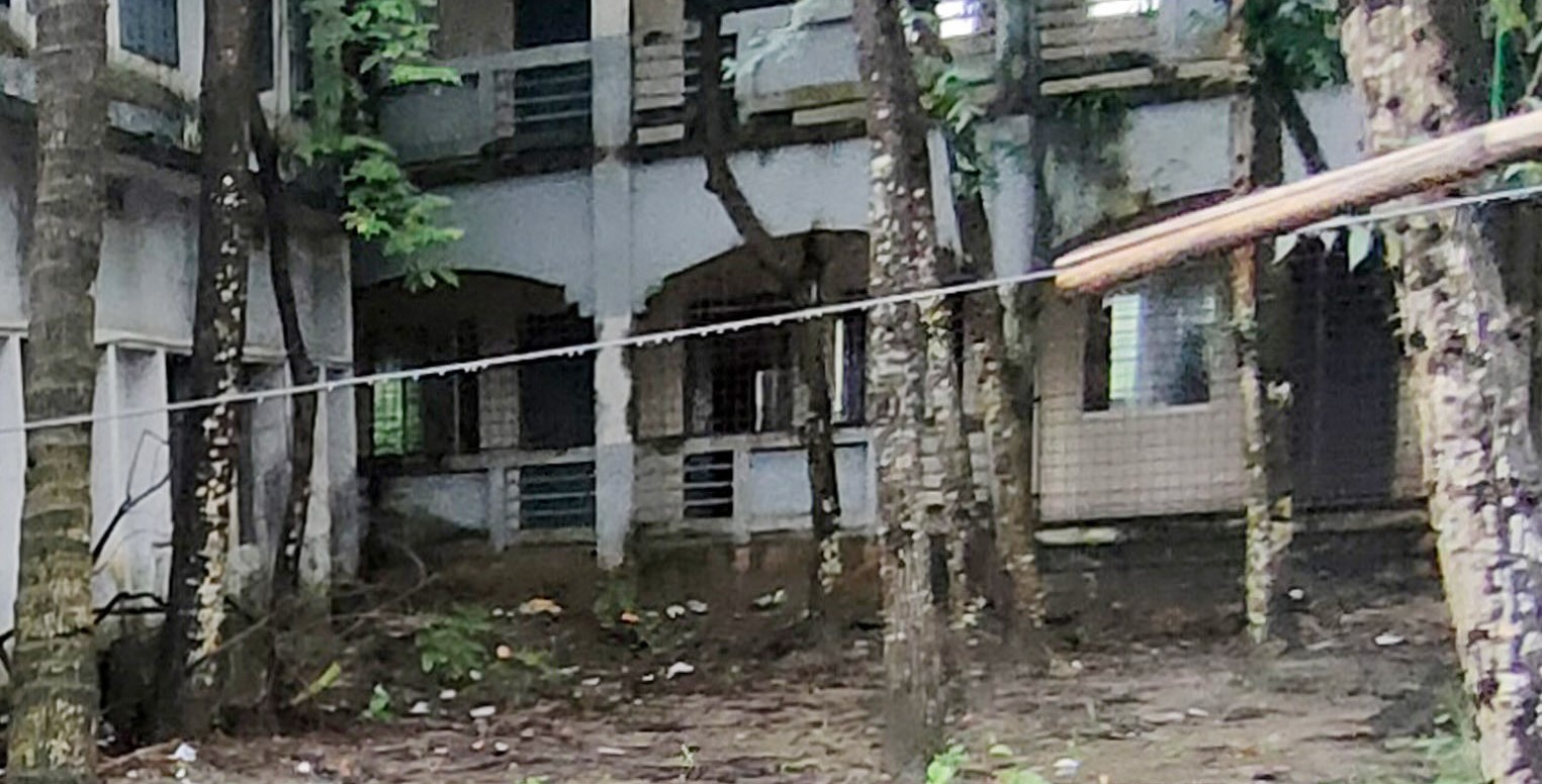 রাণীনগরে নিলামের নামে স্কুলের গাছ হরিলুটের অভিযোগ