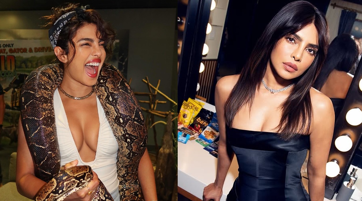 গলায় সাপ জড়িয়ে প্রিয়াঙ্কার ছবি পোস্ট