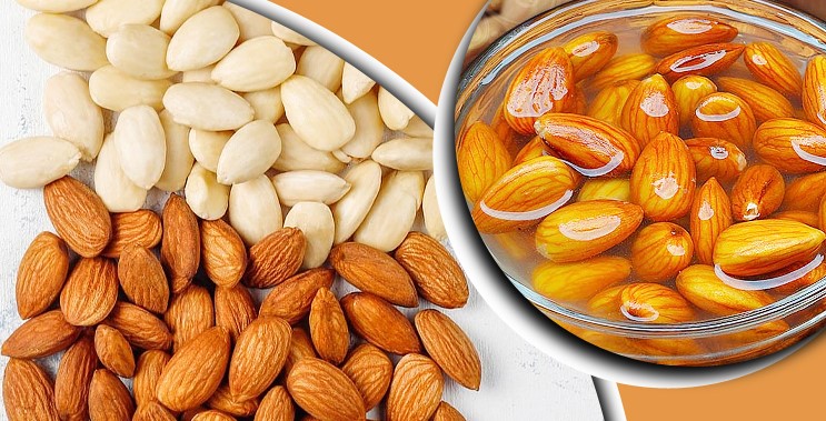 বাদাম ভিজিয়ে খান, মিলবে নানা উপকারিতা