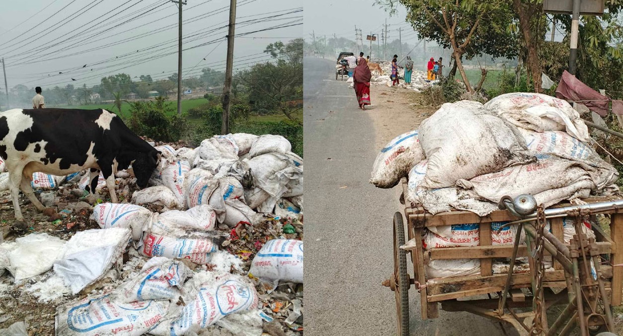 ভালুকায় মেয়াদোত্তীর্ণ চিনি ভাগাড়ে ডাম্পিং, নিয়ে যাচ্ছেন স্থানীয়রা