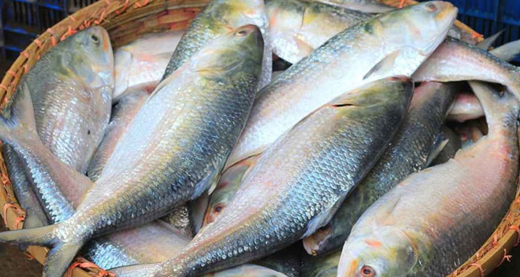 ইলিশের বাজারে আকাল, দাম শুনে ক্রেতাদের মাথায় হাত