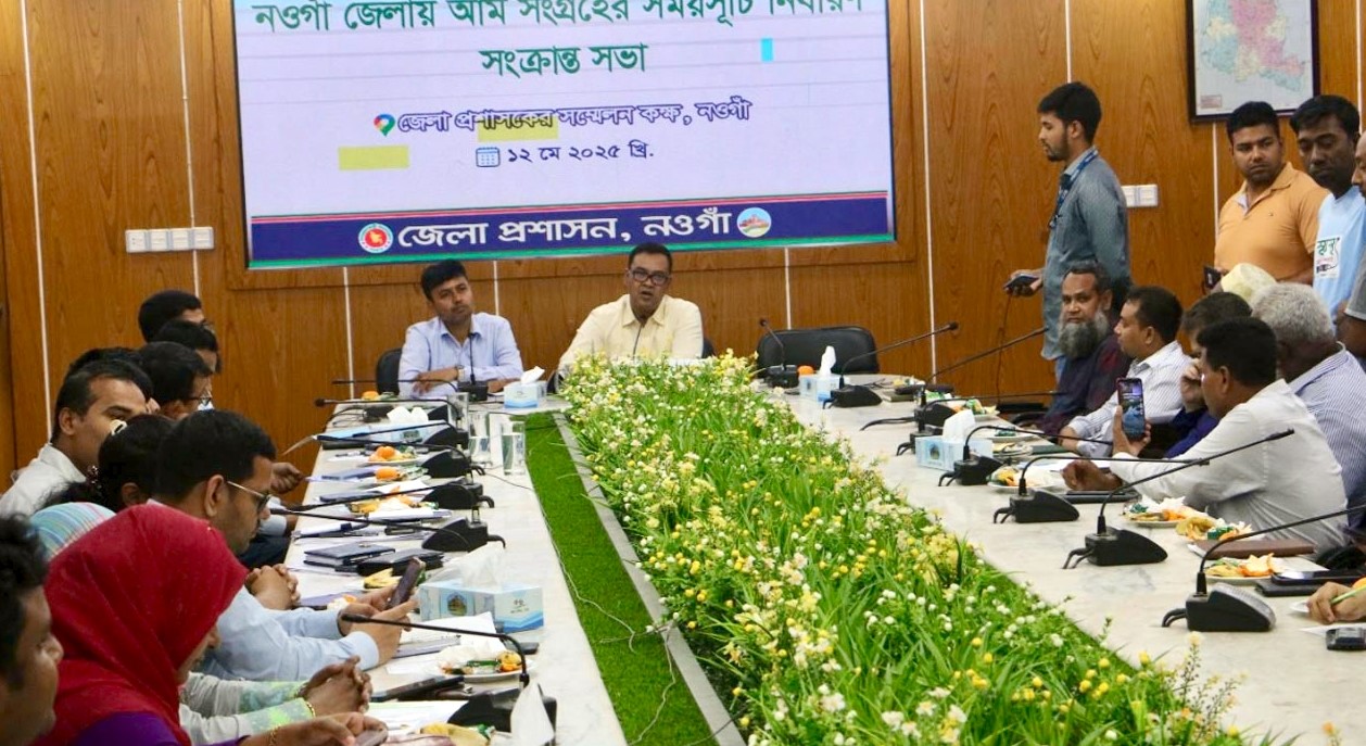 ২২ মে থেকে বাজারে দেখা মিলবে নওগাঁর আম