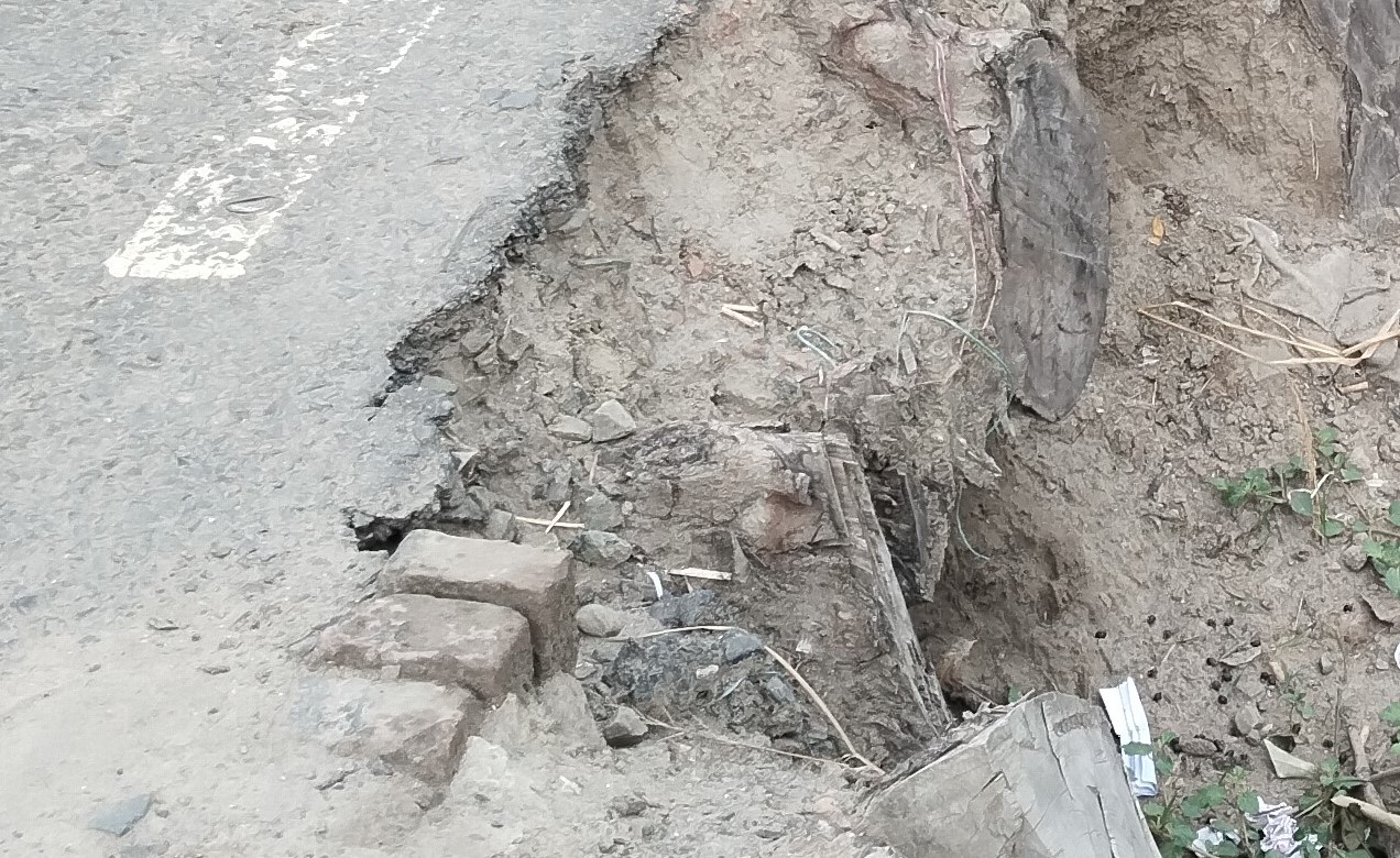 লোহাগড়ায় সড়কের পাশে গাছ কর্তন, গোড়ার গর্তেই মরণফাঁদ