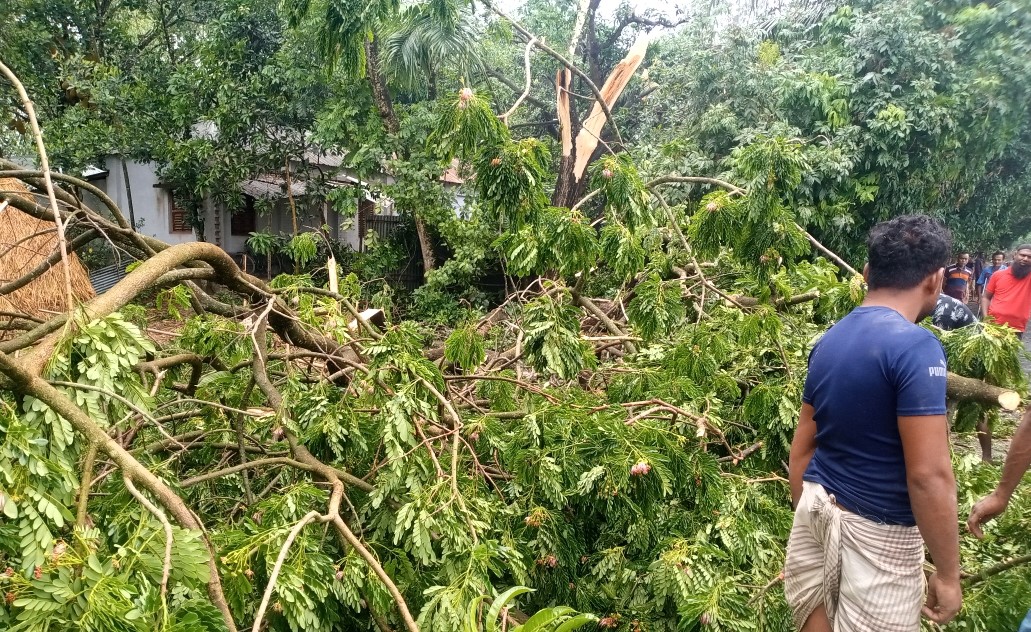 সোনাতলায় কালবৈশাখী ঝড়ের তাণ্ডব, ব্যাপক ক্ষয়ক্ষতি
