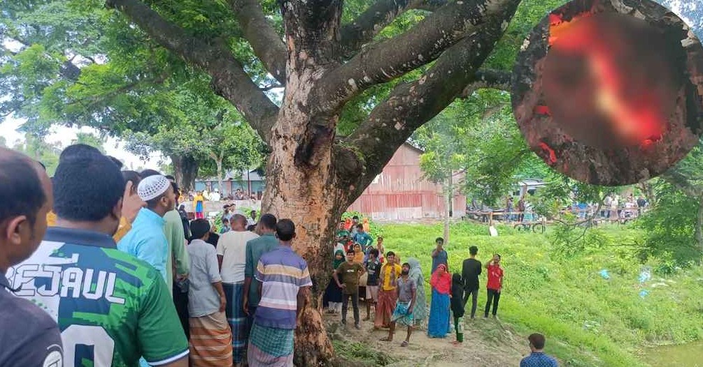 চিলমারীতে শতবর্ষী কড়ই গাছের ভেতরে জ্বলছে আগুন, কৌতূহলে এলাকাবাসী