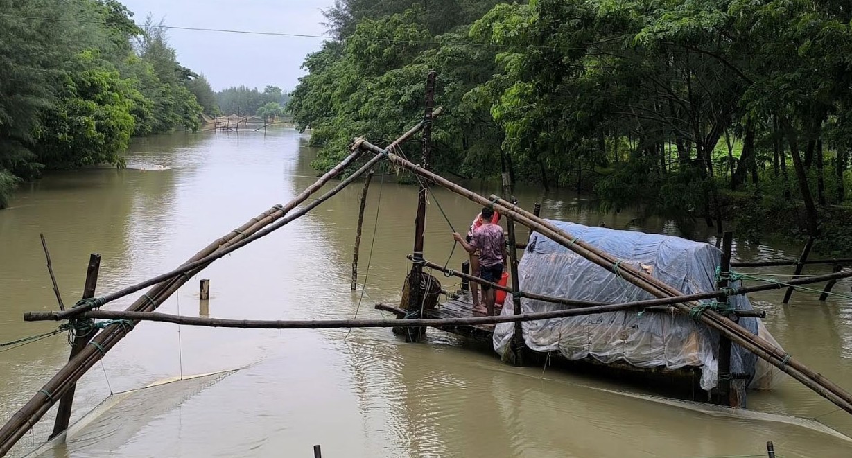 নোয়াখালীতে গলার কাঁটা ভেসাল জাল, প্রশাসন নিশ্চুপ