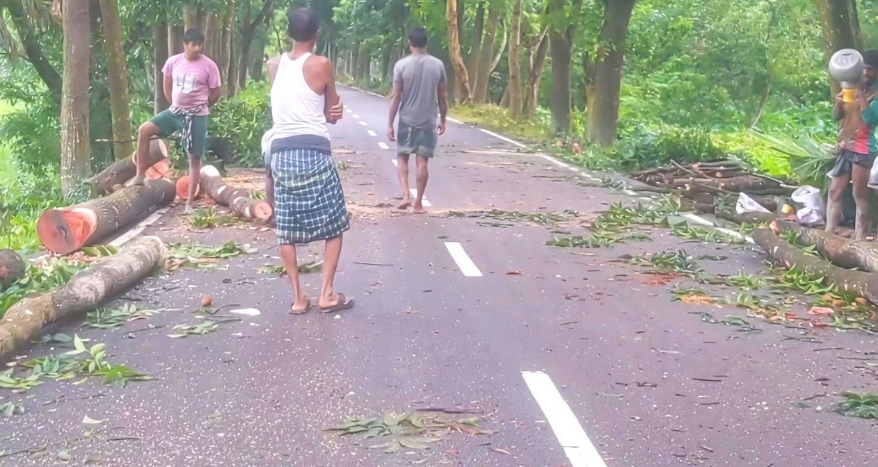 বাউফলে হাইকোর্টের নিষেধাজ্ঞা উপেক্ষা করে সরকারি গাছ কর্তন