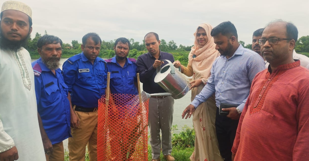 বজ্রপাত রোধে নাসিরনগরের রাস্তার পাশে তালের চারা রোপণ
