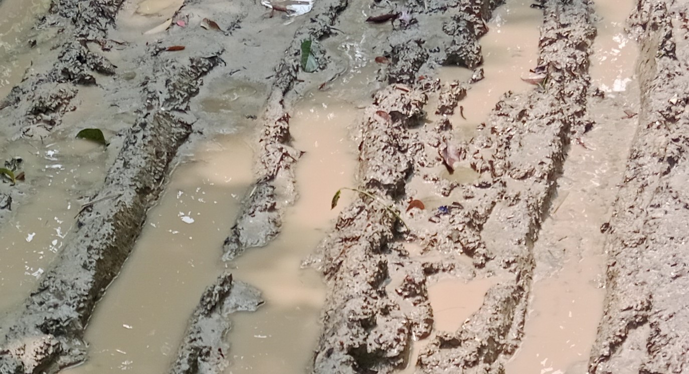 শ্রীপুরের রাস্তার বেহাল দশা, জনদুর্ভোগ চরমে