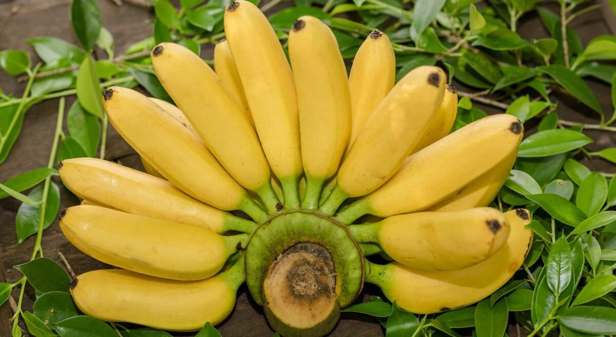 প্রতিদিন একটি কলা খান