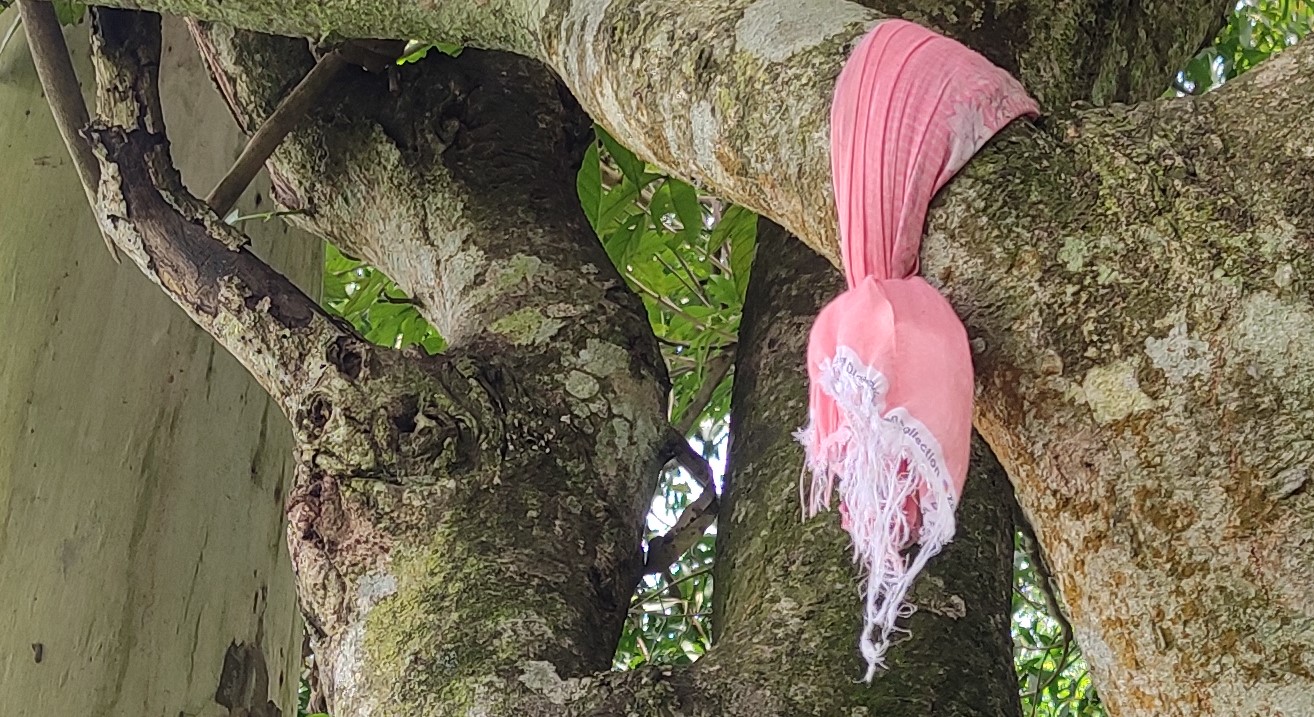 ভূঞাপুরে গাছ থেকে তিন সন্তানের জননীর ঝুলন্ত মরদেহ উদ্ধার! 