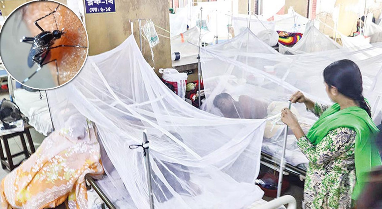 ডেঙ্গুতে একদিনে আরও ৫ মৃত্যু, হাসপাতালে ৬২২