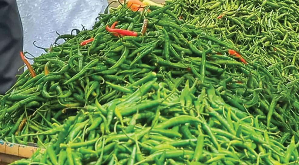 কাঁচামরিচের কেজি ৪০০ টাকা