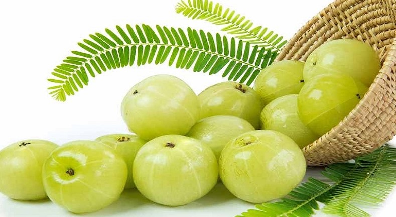 রক্তে প্লাটিলেট বাড়াতে সাহায্য করে যেসব ফল