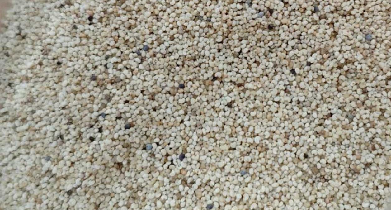 পাখির খাদ্যের আড়ালে পাকিস্তান থেকে এলো ২৫ হাজার কেজি মাদক