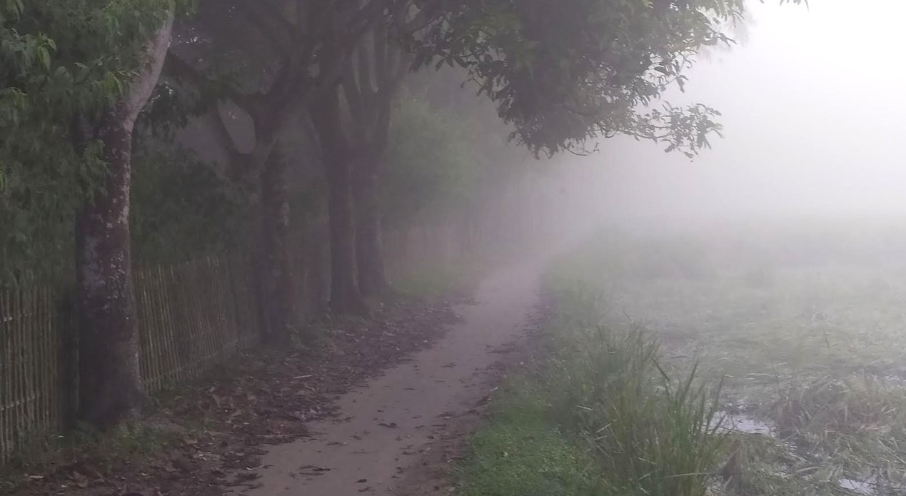 সারাদেশের বাতাসে বইছে হালকা শীতের ছোঁয়া