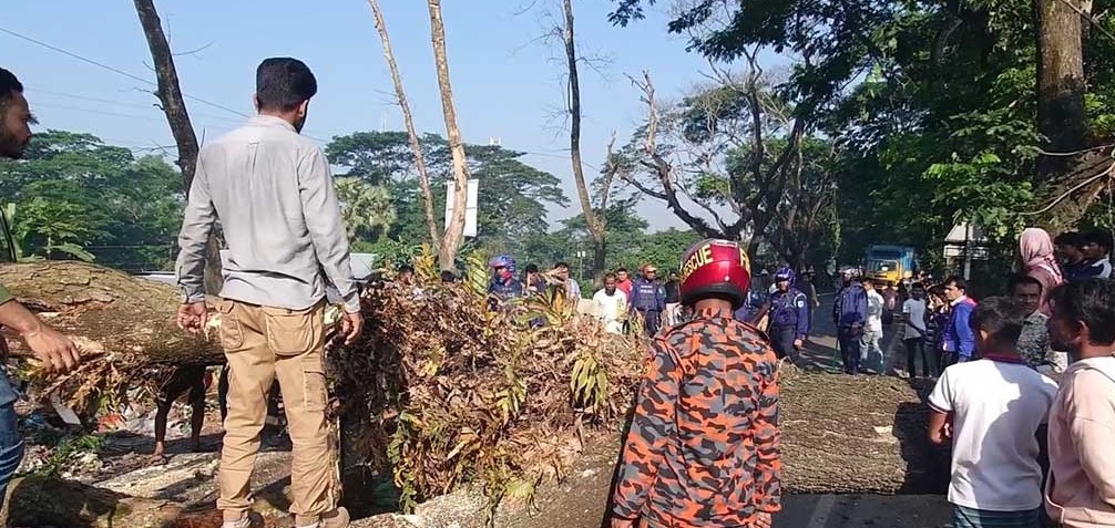 মাদারীপুরে গাছ ফেলে সড়ক অবরোধ