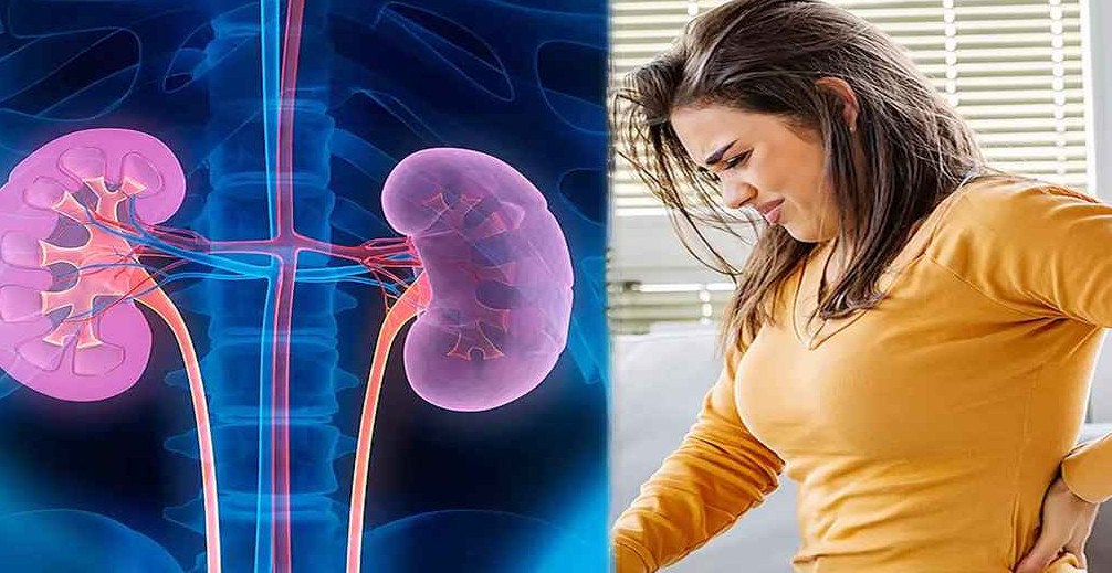 যেসব পেশায় কিডনি সমস্যার ঝুঁকি বেশি