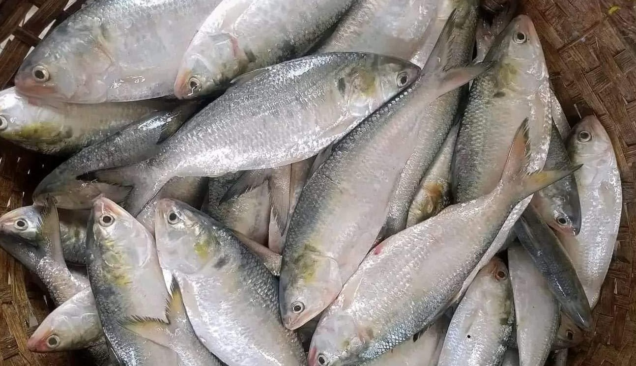 বঙ্গোপসাগরে মাছ ধরায় ৫৮ দিনের নিষেধাজ্ঞা