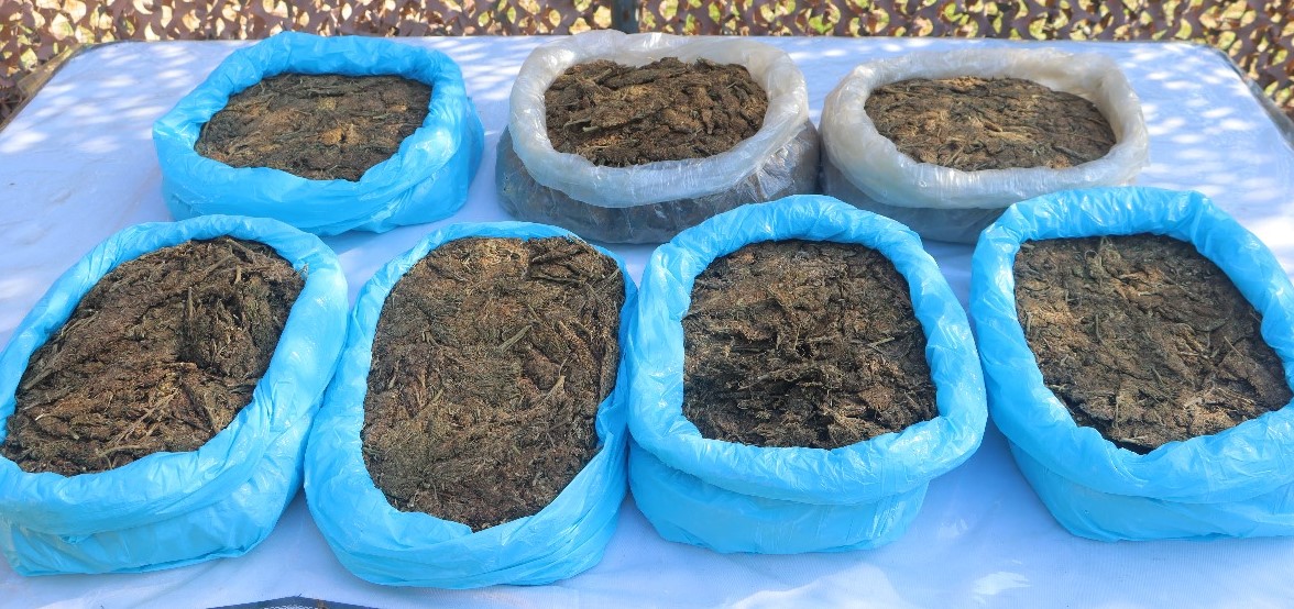 লংগদু সেনা জোনের অভিযানে বিপুল পরিমাণ গাঁজা জব্দ