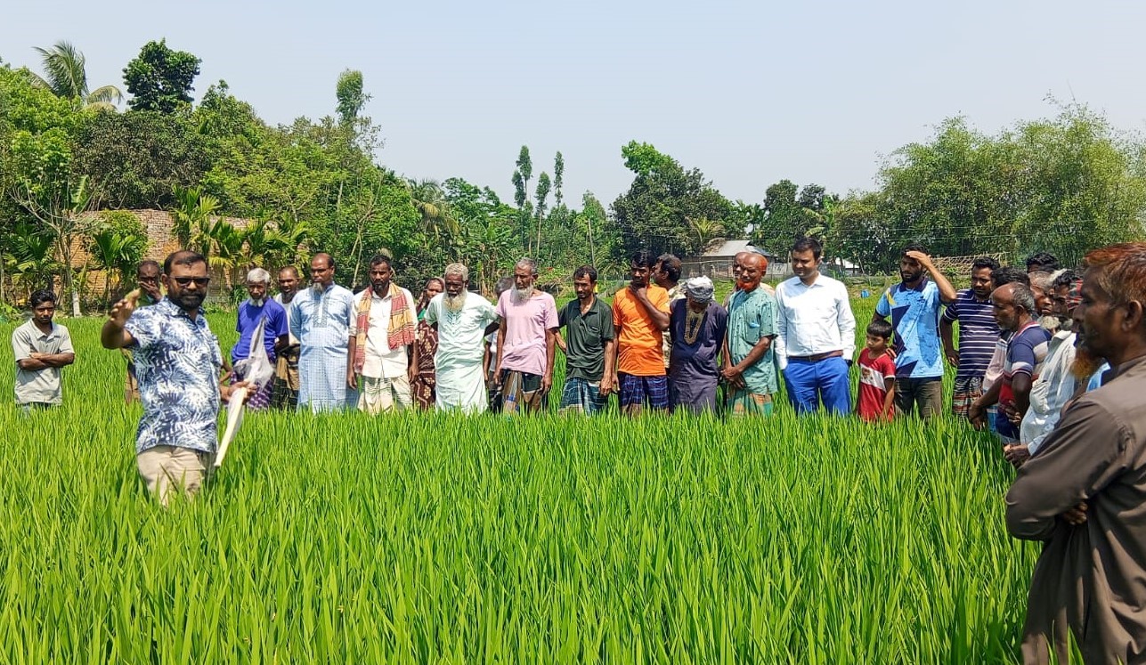 কৃষি অফিসের “অতন্দ্র জরিপ” পদ্ধতি পরিচালনা কার্যক্রম অনুষ্ঠিত