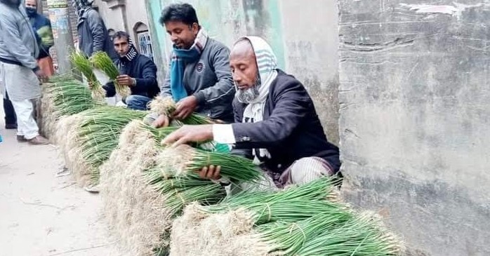 পাঁচবিবিতে পেঁয়াজের চারা বিক্রিতে কৃষকরা লাভবান