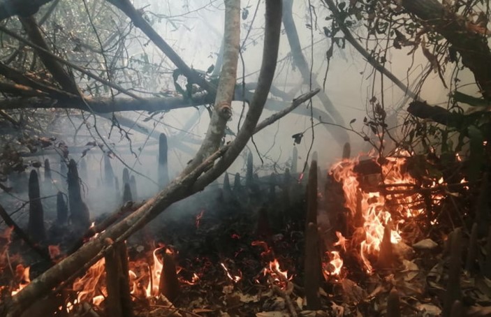 ৪৩ ঘণ্টা পর সুন্দরবনের আগুন নিয়ন্ত্রণে