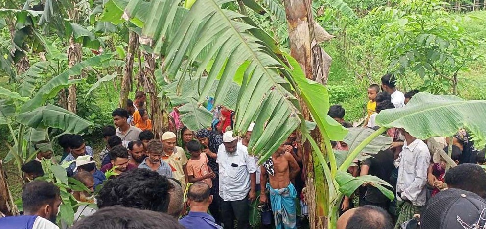 পলাশে কলাবাগানে যুবকের লাশ, শরীরে আঘাতের চিহ্ন