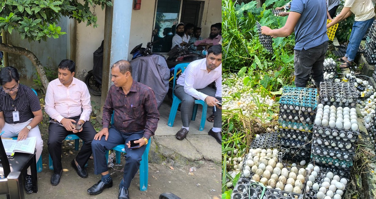 পাকুন্দিয়ায় দুই লাখ পচা ডিম ধ্বংস, জরিমানা তিন লাখ টাকা
