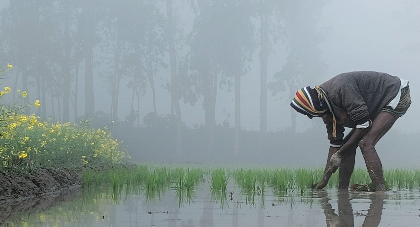 ২৪ জেলায় শৈত্যপ্রবাহ, অব্যাহত থাকার আভাস