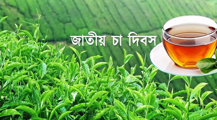 জাতীয় চা দিবসের তারিখ পরিবর্তন করল সরকার 
