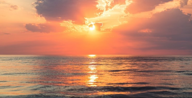 বিদায় ২০২৫, স্বাগতম ২০২৬