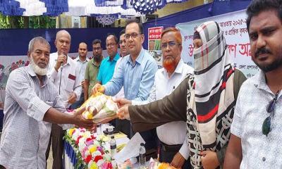 চুয়াডাঙ্গায় তুলা চাষে প্রণোদনা পেলেন ৫৫০ কৃষক