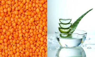 তৈলাক্ত ত্বকের প্রাকৃতিক সমাধান মসুর ডাল