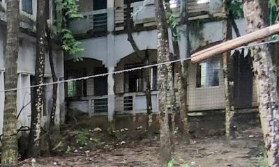 রাণীনগরে নিলামের নামে স্কুলের গাছ হরিলুটের অভিযোগ