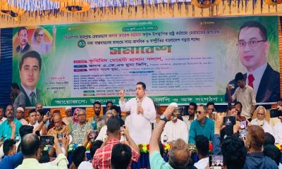 করোনার দুঃসময়ে মৌসুমী পাখিদের আমরা দেখিনি: কৃষিবিদ পলাশ