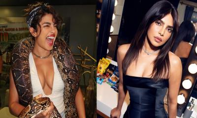 গলায় সাপ জড়িয়ে প্রিয়াঙ্কার ছবি পোস্ট 