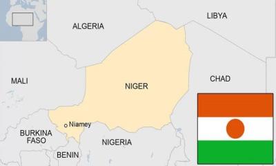 মার্কিন নাগরিকদের ভিসা নিষিদ্ধ করল নাইজার