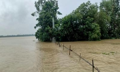 ফেনীতে বন্যা নিয়ন্ত্রণ বাঁধের ১৪টি স্থানে ভাঙ্গন