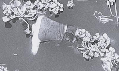 বাঞ্ছারামপুরে তিতাস থেকে যুবকের মরদেহ উদ্ধার