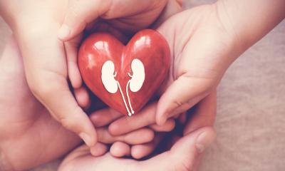 সুস্থ কিডনির রহস্য লুকিয়ে আছে যেসব খাবারে