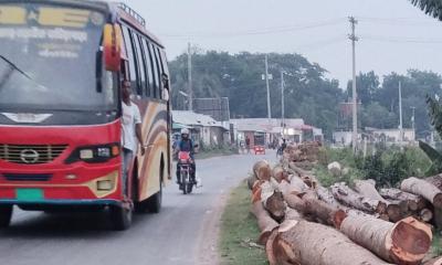 কালনা-নড়াইল-যশোর মহাসড়কে গাছের লক ও অবৈধ দোকান