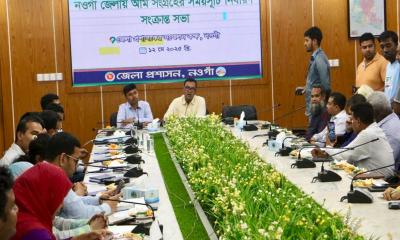 ২২ মে থেকে বাজারে দেখা মিলবে নওগাঁর আম