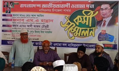 নাসিরনগর উপজেলা ওলামাদলের কর্মী সম্মেলন, নতুন কমিটি গঠন