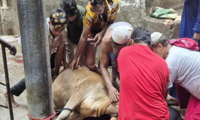 ঈদের দ্বিতীয় দিনেও ঢাকায় চলছে পশু কোরবানি