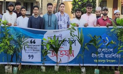 বাঞ্ছারামপুরে ছাত্রশিবিরের মাসব্যাপী বৃক্ষরোপণ কর্মসূচী পালিত
