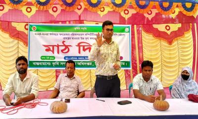 চিলমারীতে মিষ্টি কুমড়ার উপর মাঠ দিবস অনুষ্ঠিত