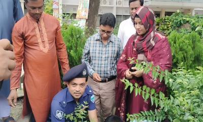 বাঞ্ছারামপুরে তরী বাংলাদেশের আলোচনা সভা ও বৃক্ষরোপণ