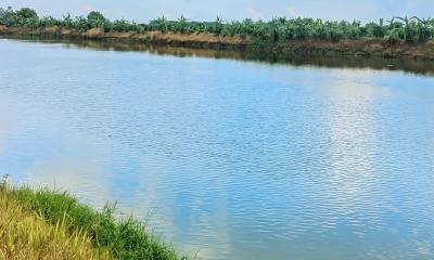 বাগমারায় পাহারাদারকে বেঁধে মাছ চুরি